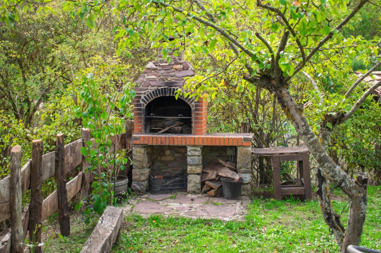 Casa Monaut, Acogedores Apartamentos A Los Pies De La Selva De Irati Saragueta Екстер'єр фото