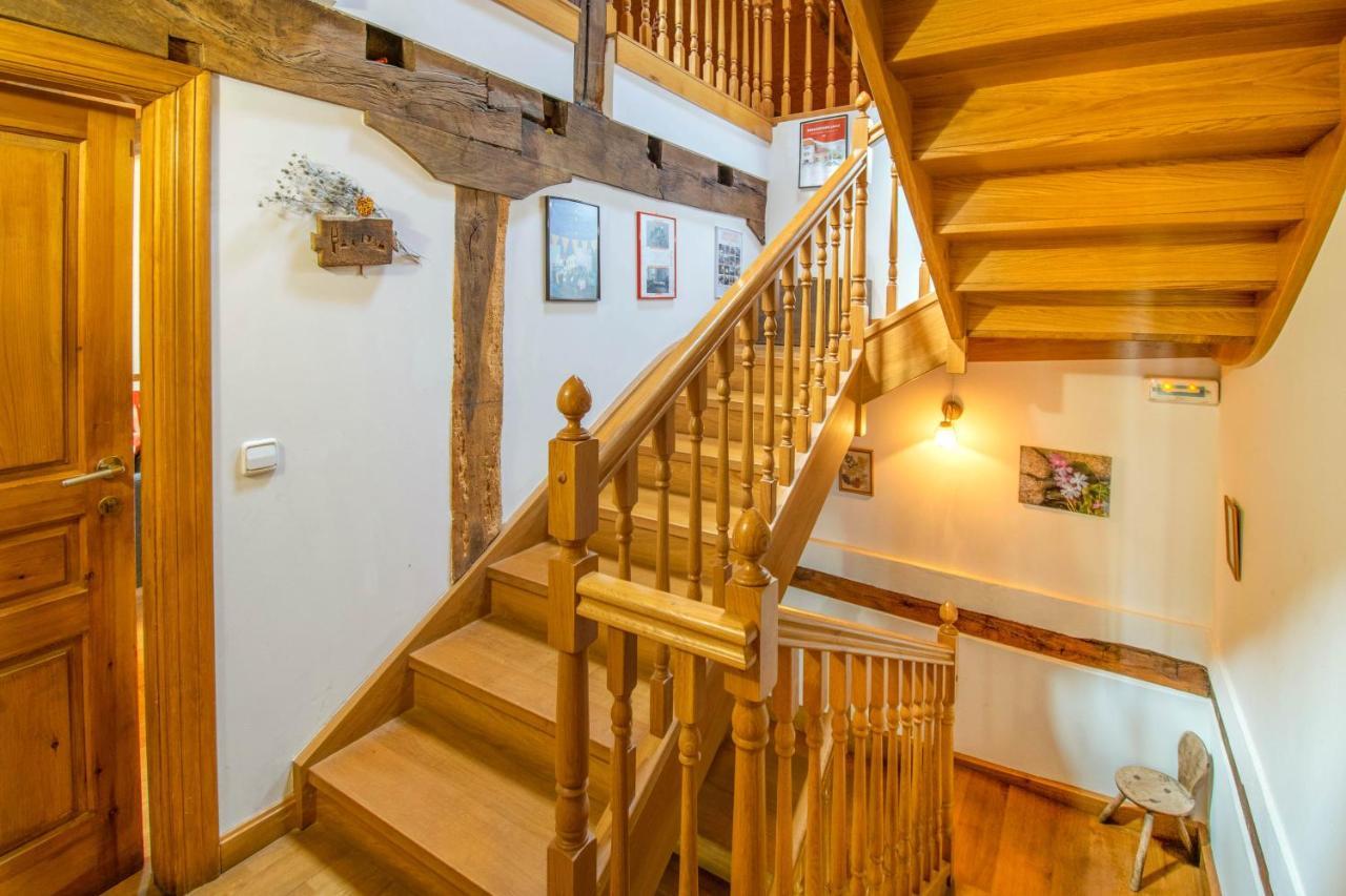 Casa Monaut, Acogedores Apartamentos A Los Pies De La Selva De Irati Saragueta Екстер'єр фото